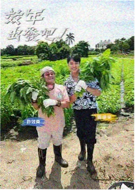 海岛慢生活剧照